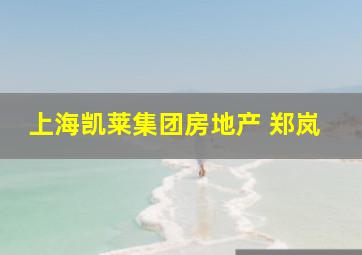 上海凯莱集团房地产 郑岚